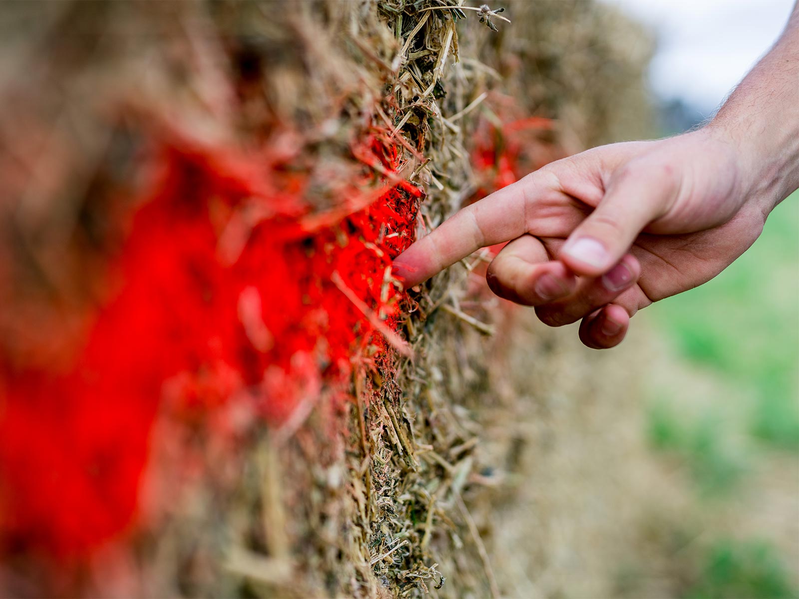 Hand pointing at a bale marked by a Gazeeka 870 moisture detector